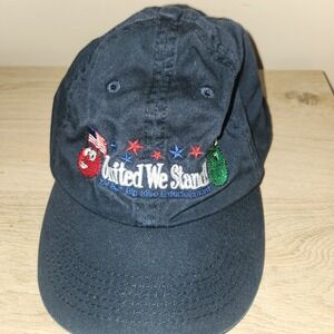 Vintage Veggie Tales United We Stand Baseball Hat America‎ Kids Y2K One Size
